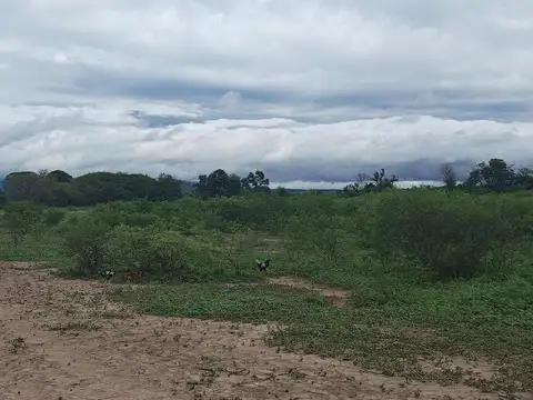 El Galpón  al 1000