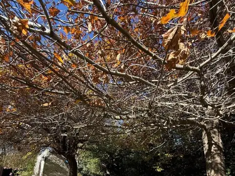 Quinta en venta, Marcos Paz