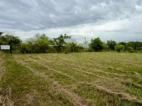 Terreno en Venta 2500m2 Arturo Segui