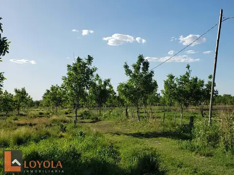 5 Hectáreas para Producción y Vivienda La Paz Cordoba