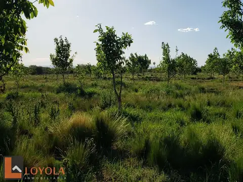 5 Hectáreas para Producción y Vivienda La Paz Cordoba