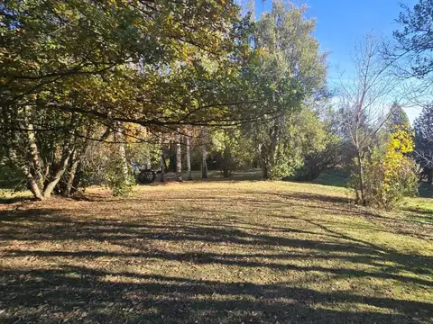 Campo en Venta Chacra