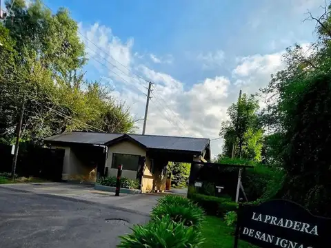 Alberto Williams 800