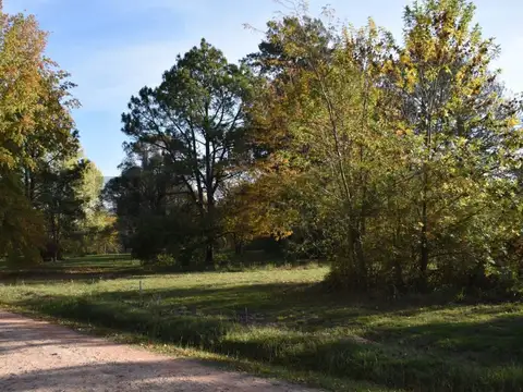 LOTES EN VENTA, CLUB DE CAMPO AMARYLIS, EXALTACION DE LA CRUZ, BUENOS AIRES