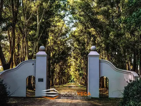 Lote a la venta en Chacras de San Andres, San Andres de Giles