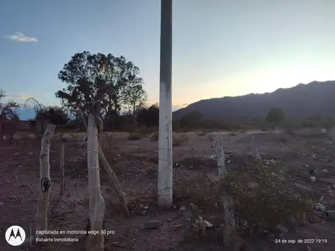 Pte. Carlos Saul Menem