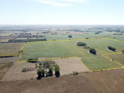 Campo en Venta de 80  ha