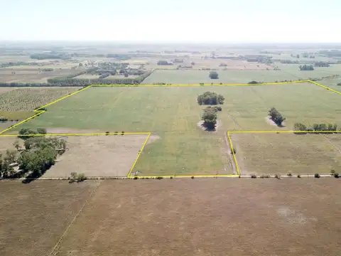 Campo agrícola cercano a Ruta 8