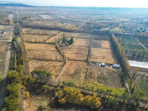 VENTA CHACRA APTA DESARROLLO 15 HECTAREAS PLOTTIER