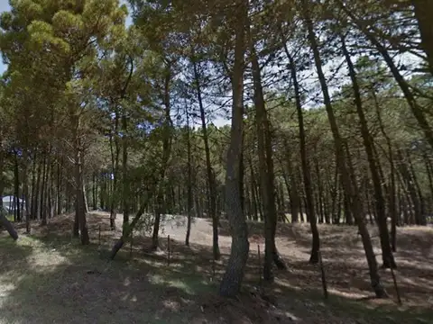 Terreno en Venta de 630,0 m2