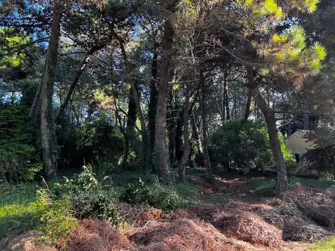 Terreno en Venta de 630,0 m2