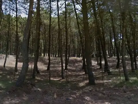 Etoneo entre Euridice y Frag. Victoria, Lote 100