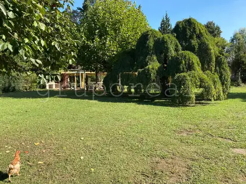 VICENTE CASARES - Campo a la venta a pocos metros de la Autopista
