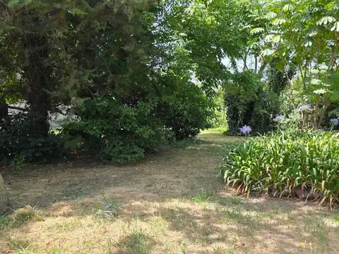 Terreno en Venta 11  mts Frente