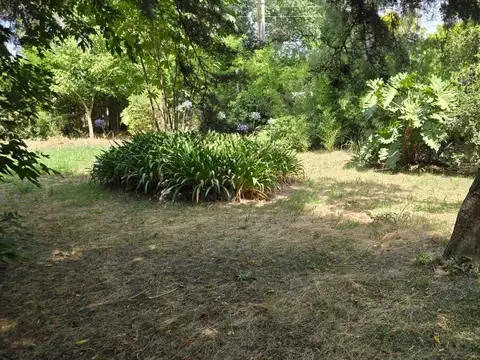 Terreno en Venta 27  mts Fondo
