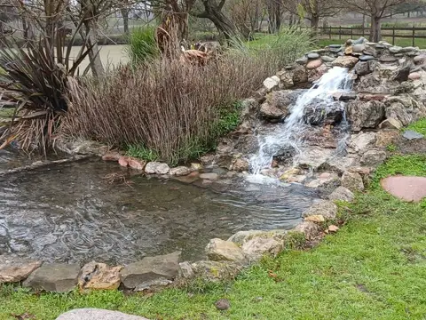 Campo con casa y caballerizas en venta