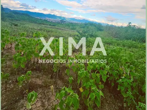 Terreno en Venta de 435,0 m2