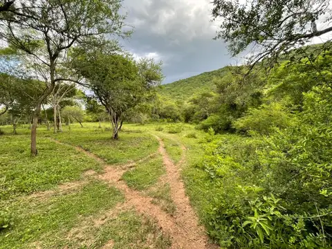 Ruta 9, Higuerillas, a 5 kms del expeaje Aunor