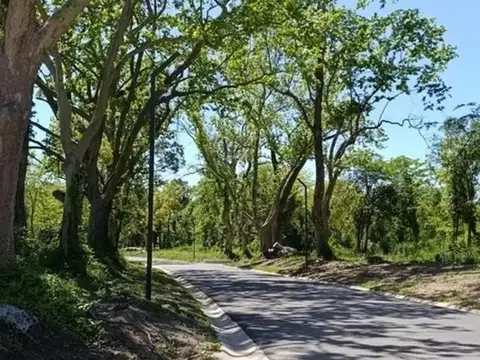 Terreno en Venta 70  mts Frente