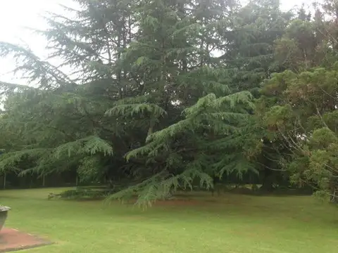 Quinta en Venta A Estrenar