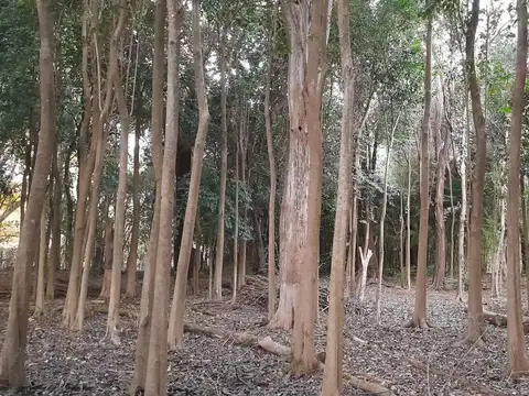 Cabañas en Santa Rosa de Calamuchita