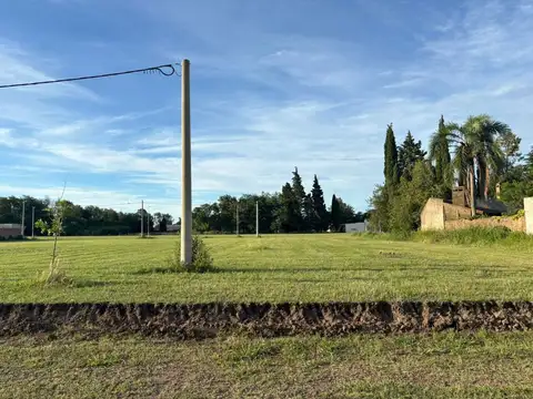 VENTA TERRENO EN MÁXIMO PAZ –  OPORTUNIDAD