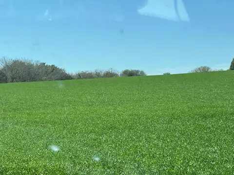 148.61 hectáreas en Diamante