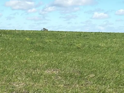 Diamante, Zona Rural