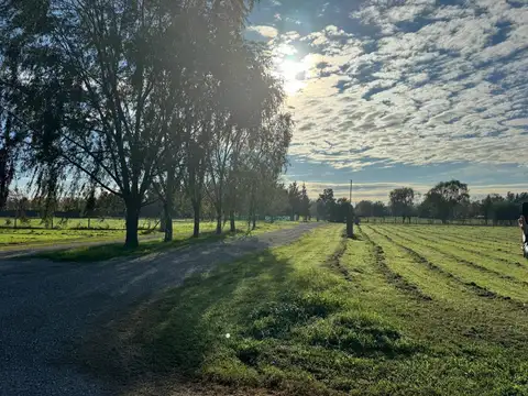 Terreno en Venta de 534,0 m2