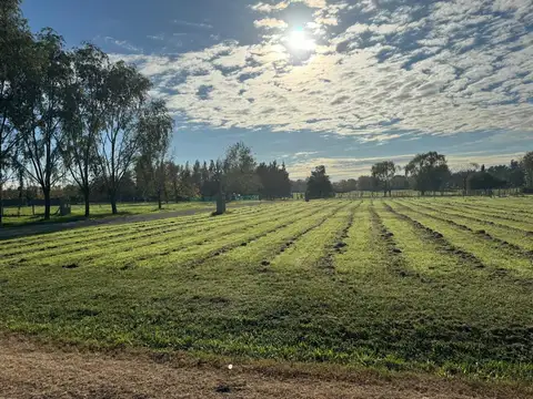 Lote en venta en Manzanares