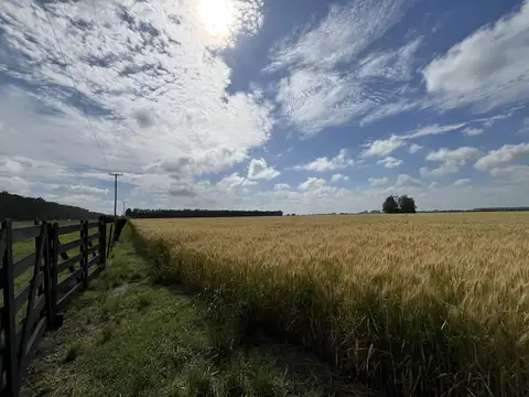 En venta muy lindas hectareas en Solis, Provincia de Buenos Aires
