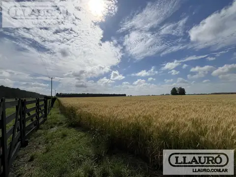 En venta muy lindas hectareas en Solis, Provincia de Buenos Aires