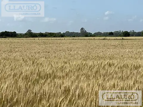 ruta 193, Solis, Provincia de Buenos aires