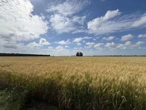 ruta 193, Solis, Provincia de Buenos aires