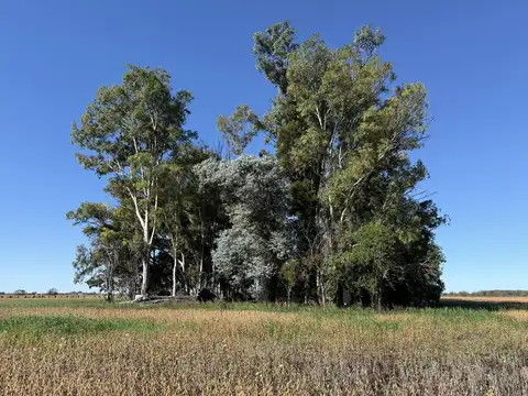 En venta muy lindas hectareas en Solis, Provincia de Buenos Aires