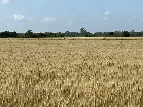 ruta 193, Solis, Provincia de Buenos aires