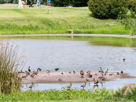 Estancia La Rinconada