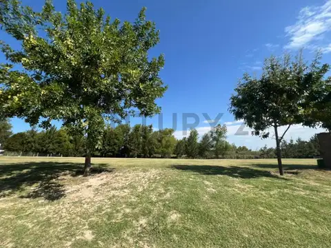 Terreno en Venta 21  mts Frente