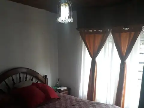 Cacique Coliqueo 100