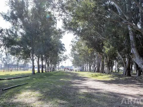 Terreno en Venta de 75000,0 m2