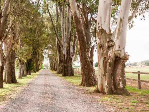 Imperdible lote interno en  El Campo - Fincas Exclusivas Car