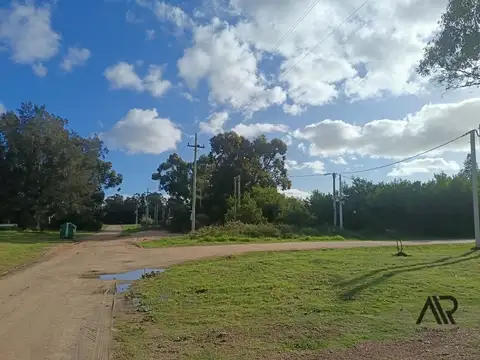 Terreno en Venta 19  mts Fondo