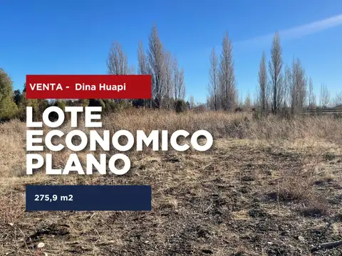 Lote Dina Huapi OPORTUNIDAD