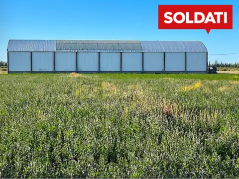 Finca en venta 30 Hectáreas Ruta 160 La Llave San Rafael Mendoza