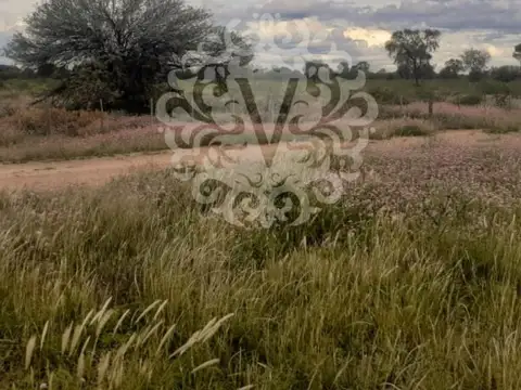 Consultar dirección