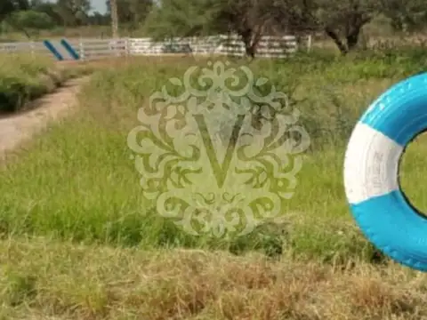 Consultar dirección