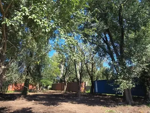 Terreno en Venta 12  mts Frente