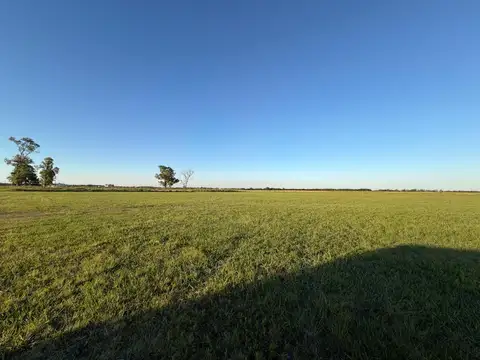 Terreno en Venta de 10000,0 m2