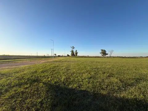 Una hectárea a la venta en Sunchales - USD 110.000
