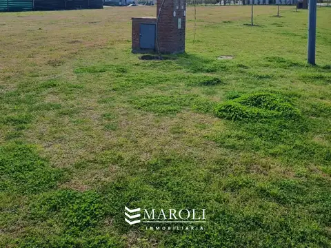 Terreno en Venta 31  mts Fondo